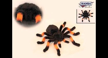 Vogelspin 30 cm, Hansa