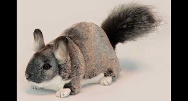 Chinchilla Knuffel, 30 cm, Hansa