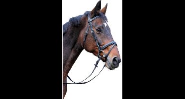 Kerbl Hoofdstel Classic leer zwart pony 326137