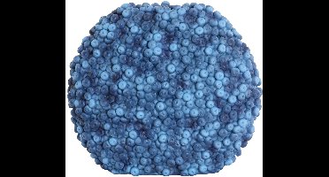 Light & Living - Vaas BERRIES - 44x19x37cm - Blauw