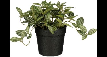 Mica Decorations Tradescantia in pot groen - h16xd16cm
