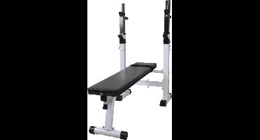 vidaXL - Halterbank - recht