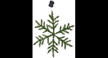 Star Trading LED dennentakken 'Snowflake' als sneeuwvlok, batterijen + timer, 42 warmwitte LED's, buiten, groen, Ø 63cm