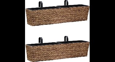 vidaXL - Plantenbakken - 2 - st - waterhyacint