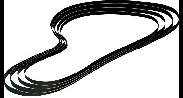 Assortiment aandrijfriemen voor platenspelers