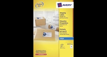 Avery J8173-100, Wit, Zelfklevend printerlabel, Inkjet, Permanent, Rechthoek, 9,91 cm