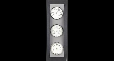 TFA-Dostmann 20.1082.17 digitale weerstation Zilver