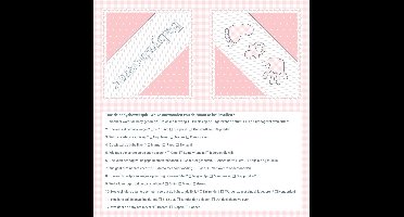 Servetten Babyshower Meisje Quiz 20 Stuks