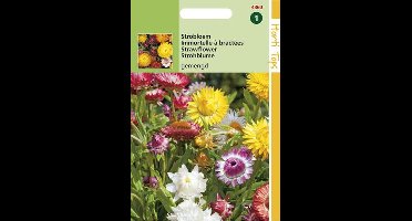 Hortitops Zaden - Helichrysum Bloemzaad - Monstrosum - Gemengd