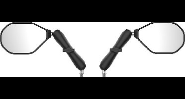 RAM Mount Tough-Mirror set - lange arm - M10-1.25-base - voor motor