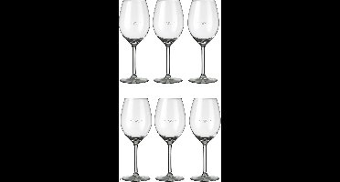 Set van 12x stuks wijnglazen voor rode wijn 410 ml Esprit met maatstreep - 41 cl - Wijn drinken - Wijnglazen van glas