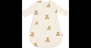 Jollein Slaapzak Newborn 4-Seizoenen 60cm Teddy Bear