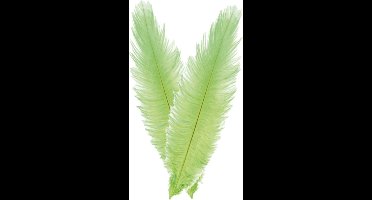 Chaks Struisvogelveer/sierveer - 2x - lime groen - 55-60 cm - decoratie/hobbymateriaal