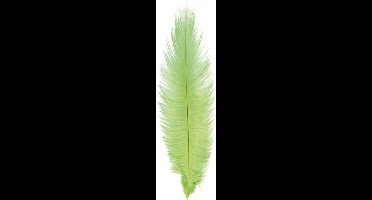 Chaks Struisvogelveer/sierveer - lime groen - 55-60 cm - decoratie/hobbymateriaal