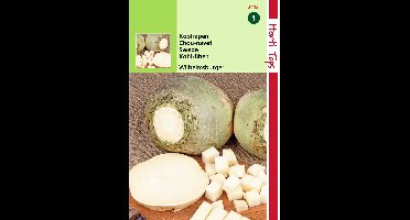 2 stuks - Hortitops - Koolraap Wilhelmsburger Type Friese