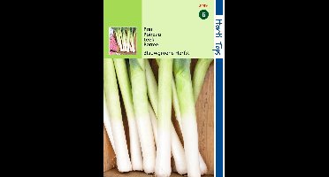 2 stuks - Hortitops - Prei Blauwgroene Herfst Ideal