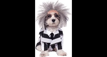 Rubies - Beetlejuice kostuum honden (maat S)