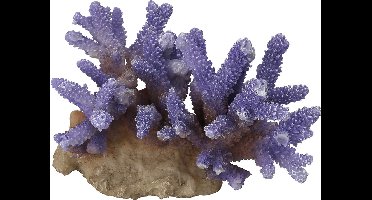 Aqua Della - Aquariumdecoratie - Vissen - Coraal Acropora 15,5x12x10cm Paars - 1st
