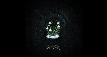Lucidvox - That's What Remained (CD)