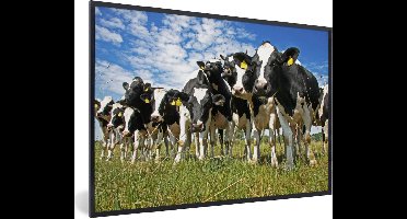 PosterMonkey - Poster - Fotolijst - Koeien - Koe - Dieren - Natuur - Weiland - Posterlijst - Kader - Poster met frame - 120x80 cm - Foto in lijst - Poster koe - Poster natuur - Posterlijst
