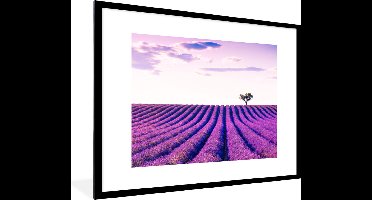 PosterMonkey - Poster - Fotolijst - Lavendel - Boom - Lucht - Paars - Bloemen - Posters - Poster kader - Frame - 80x60 cm - Poster frame - Foto in lijst - Poster lavendel