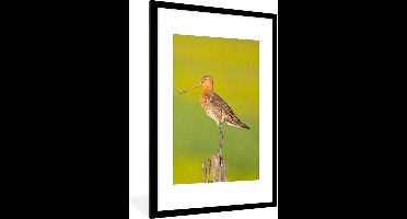 PosterMonkey - Poster - Fotolijst - Vogel - Dieren - Paal - Groen - 60x90 cm - Poster vogels - Poster met kader - Foto in lijst - Poster dieren - Posterlijst - Kader