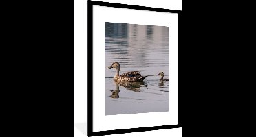 PosterMonkey - Poster - Fotolijst - Eend - Water - Vogel - 60x80 cm - Poster eend - Poster natuur - Foto lijst - Poster kader - Frame - Posterlijst