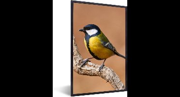 PosterMonkey - Poster - Fotolijst - Koolmees - Vogel - Takken - 20x30 cm - Poster natuur - Poster vogels - Foto in lijst - Poster frame