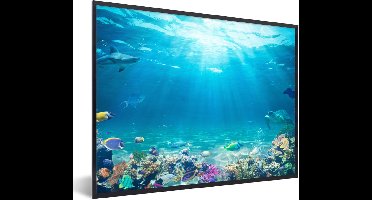 PosterMonkey - Poster - Poster in lijst - Fotolijst - Vissen - Onderwaterwereld - Water - Tropische vissen - 80x60 cm - Kader - Kamer decoratie - Poster met frame - Wanddecoratie natuur - Poster natuur