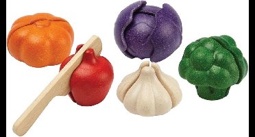 PlanToys Houten Speelgoed 5 kleuren groenten set.