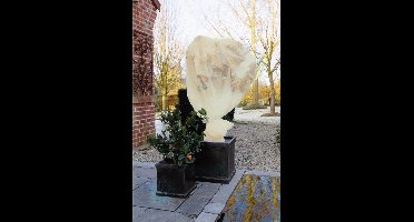 2x stuks nature plantenhoes xl - 5 x 2 meter - beige - anti-vorst planten beschermhoes - 500 x 200 cm