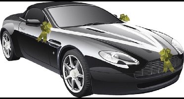 Chaks Trouwauto decoratie lint - wit/ goud - just married - bruiloft benodigdheden