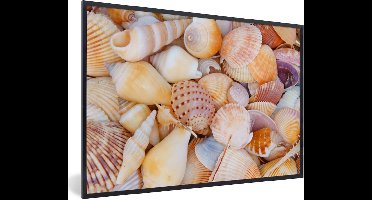 PosterMonkey - Poster met lijst - Schelpen - Oranje - Geel - Strand - Wanddecoratie - Poster zee - Fotolijst - 30x20 cm - Kader - Poster frame - Muurdecoratie - Poster in lijst