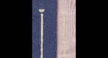 Vertbaudet Set - 2 paar panty's - hart - lurex