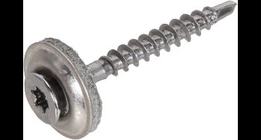 Dak&Gevel Daktrimschroef RVS410 PK EPDM-R 15mm TX-20 4.0x50/30 (100)