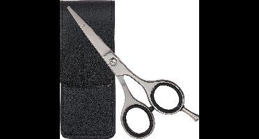 RVS professionele baardschaar Haarschaar in etui