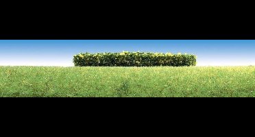 Faller - 3 Heggen, geel bloeiend - modelbouwsets, hobbybouwspeelgoed voor kinderen, modelverf en accessoires