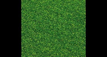 Faller - Strooimateriaal, meigroen, 30 g - modelbouwsets, hobbybouwspeelgoed voor kinderen, modelverf en accessoires