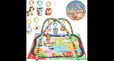ApexArte® Baby Speelkleed Met Boog - Babyspeelgoed 0 Jaar - Kinderspeelgoed 1 Jaar - Speelmat - Babygym met Ligkussen
