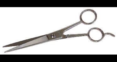 C.K Extra scherpe kappersschaar, spits met pinksteun, 180 mm lengte C8080