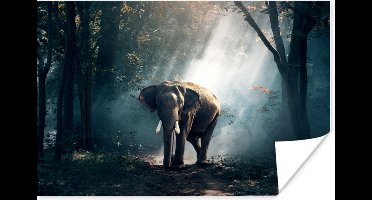 Poster Olifant - Dieren - Licht - Bos - Natuur - Wilde dieren - 30x20 cm
