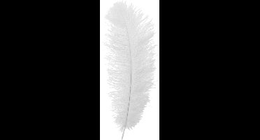 Veer - Wit - Floss - Piet - 30cm