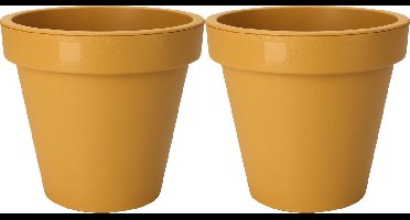 Pro Garden Plantenpot/bloempot Botanic - 2x - Tuin buiten - kunststof - okergeel - Dia 25 cm - rond
