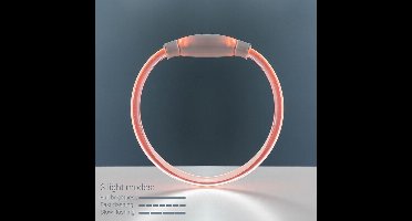 INNOVAGOODS - HALSBAND HOND - HALSBAND HOND VERLICHT - HUISDIER