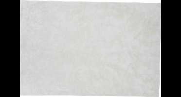 Blanca vloerkleed 300x200 cm polyester wit.