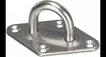 2 X RVS Plaat met oog