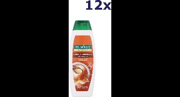 12x Palmolive Shampoo - 2 in 1 Luminous Nourishment Argan Oil 350 ml