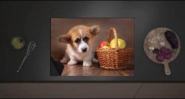 Inductie Beschermer - Corgi Puppy langs Mandje gevuld met Appels - 70x52 cm - 2 mm Dik - Inductieplaat Beschermer met zwarte kern