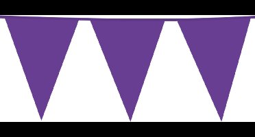 3x Giga Vlaggenlijn Paars 30x45cm 10m - Vlaggen XL Groot thema feest festival