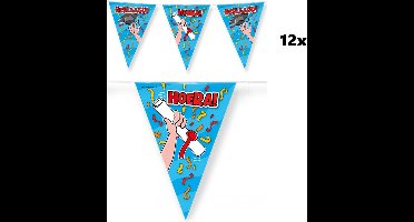 12x Vlaggenlijn geslaagd hoera blauw 10 meter - diploma geslaagd vlaglijn afstudeer